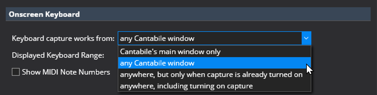 Keyboard Capture Options