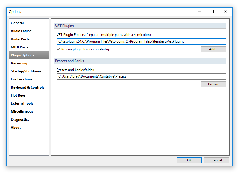 Plugin Options